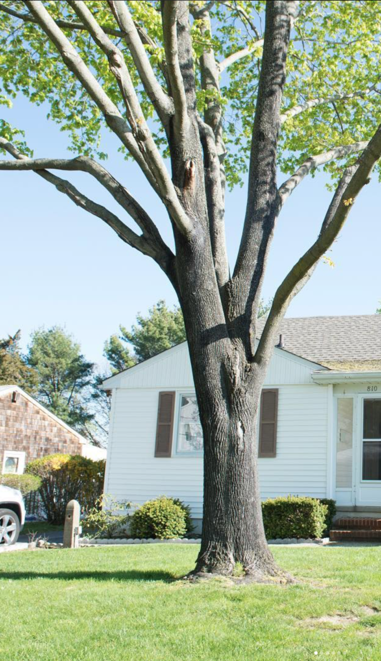Home renovation by Surfwood Solutions, Monmouth County, NJ